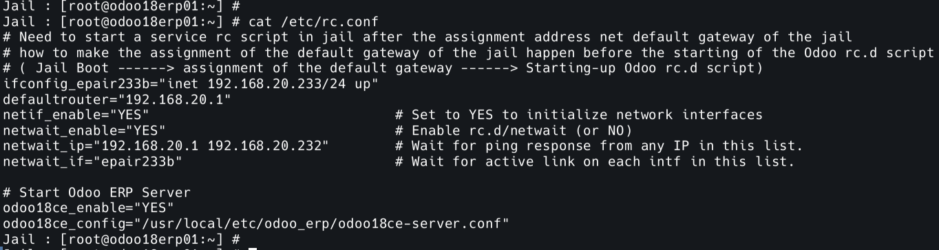 G01 - Need to start a service rc script in jail after the assignment address net default gatew...png