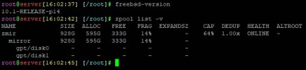 FreeBSD-10.1.jpg